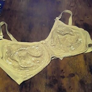 NWOT Breezies 40D Beautiful Beige Lace Semi Sheer Unpadded underwire Bra